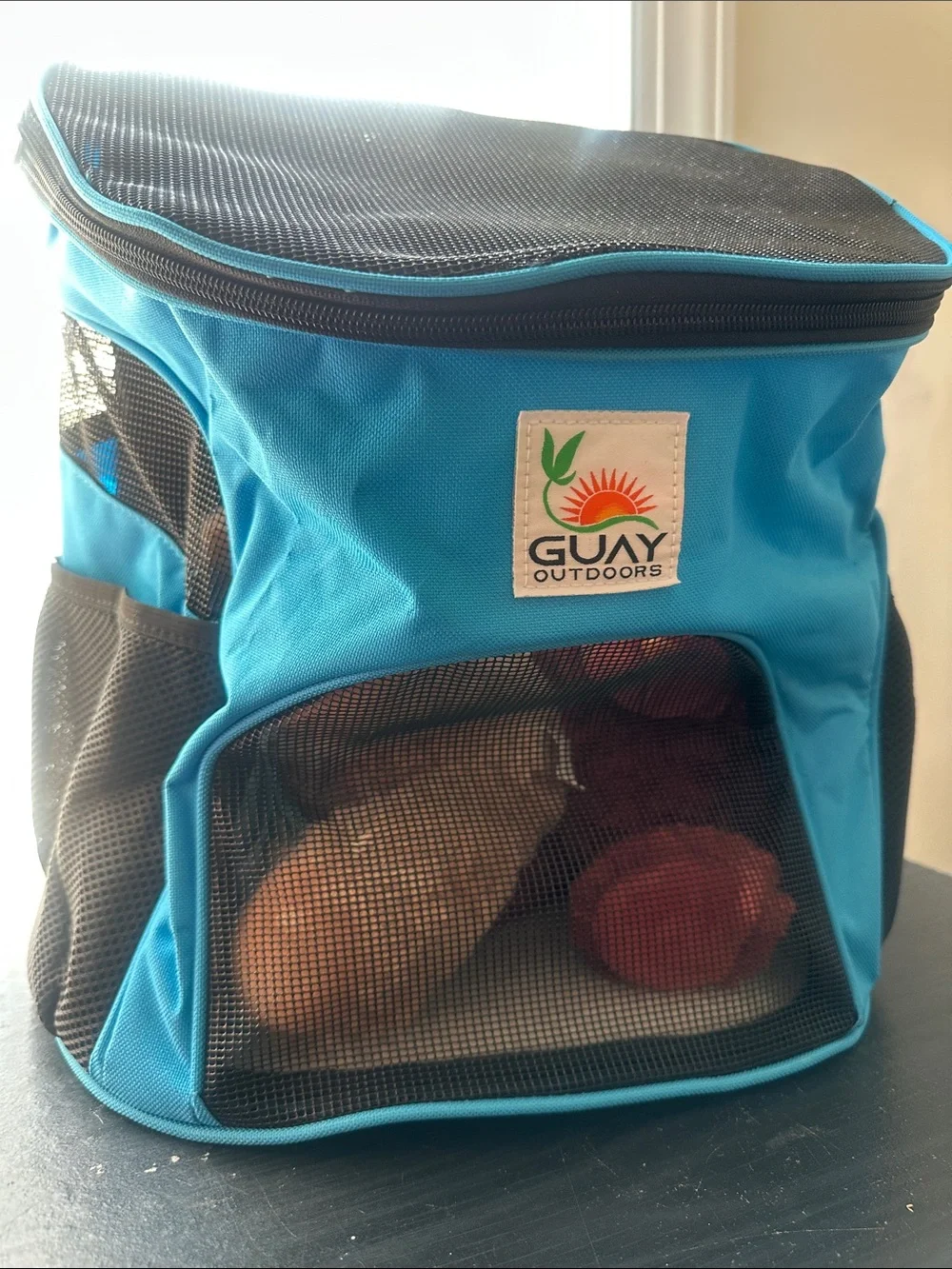 Blue Pet Backpack Carrier
